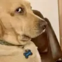 Side eye