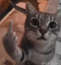 fuck you neegy