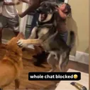 chatblocked