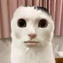 caca