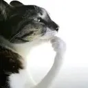 Ponder I ponder