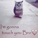 TouchYou