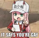 gay