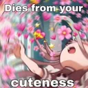 DIES
