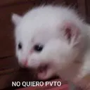 No quiero 