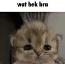 wat hek bra