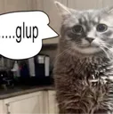 gulp
