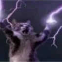 cat magic 
