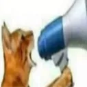 SHUT YO BITCHASSUP