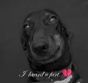 i heard u fart 💔