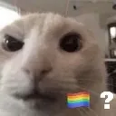 Gei?