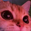 hearteyes