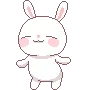 bunny dance /anyday