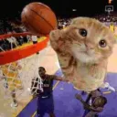 geen fn cat /anyday