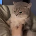 Mad