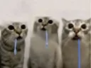 waow