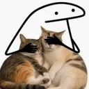My kitties 