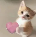 kitty heart