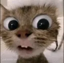erm
