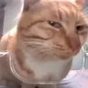 side eye