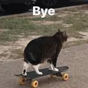 bye