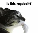 is_this_ragebait?