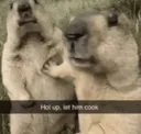 let_em_cook