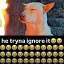 He tryna ignore it