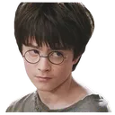 Potter Look