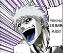 Wrong Dumbass