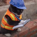 Stand on business 