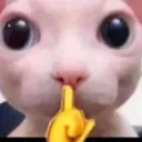 bingusshh