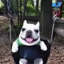 swing