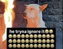 he tryna ignore it 😭 /pbc
