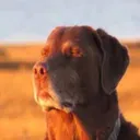 accept fate