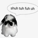 stfu