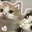 I love you