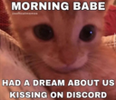 e-kiss ggserein