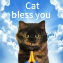 cat bless you