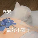 cat goodnight