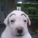 huh