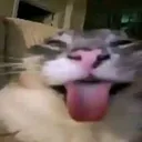 Gueba