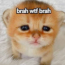 brah