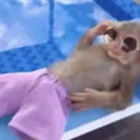 living life