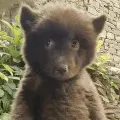 confused think