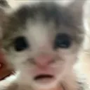 O_O 