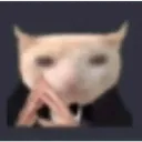 cat offer