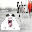 Sybau 