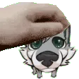 Dex Headpats | gg/fluffs