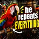 repeats everything 